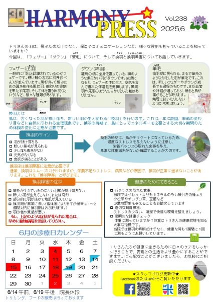 ハーモニープレス6月号です