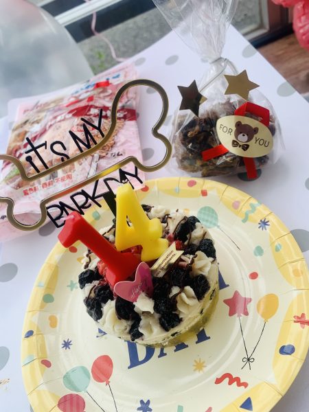 祝🎉イオンちゃん🐶14才👏