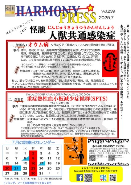 ハーモニープレス7月号です
