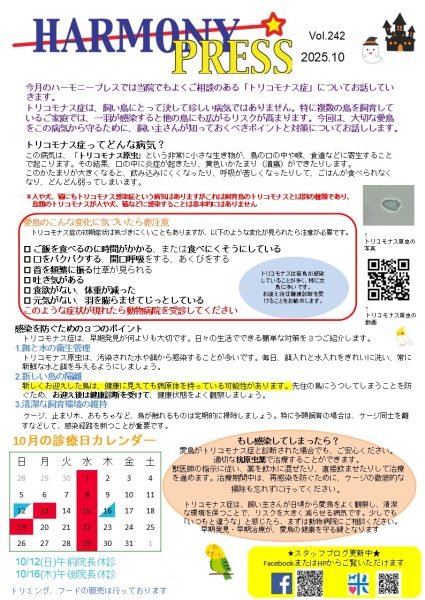 ハーモニープレス10月号です