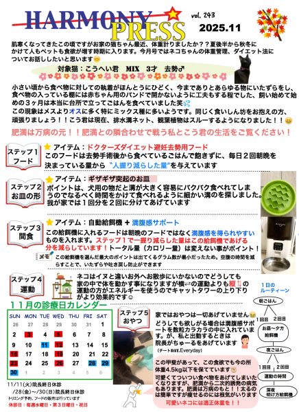 ハーモニープレス11月号です